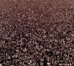 Visa applications in India seriously delayed